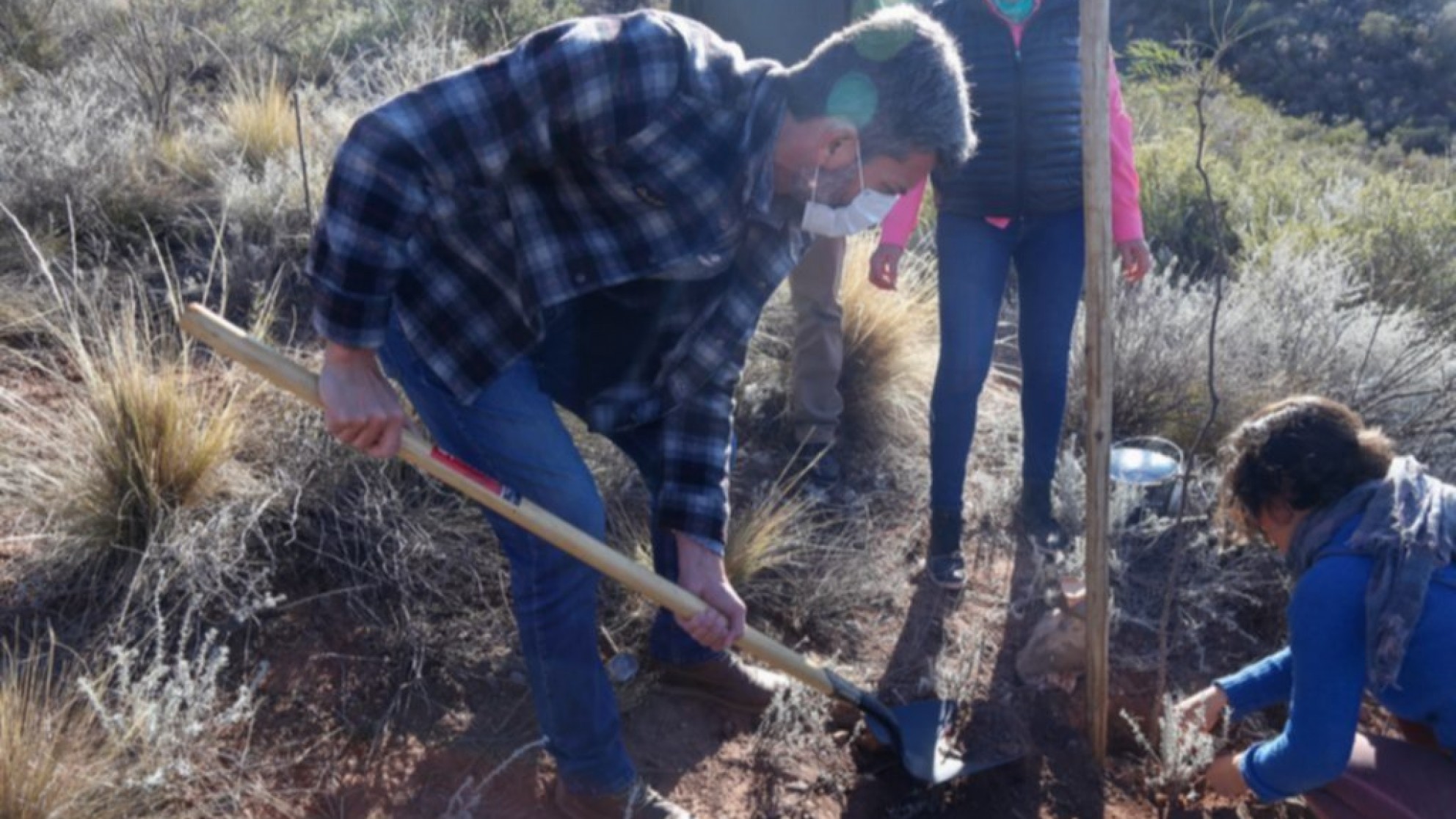 Día Nacional del Árbol: relanzan plan de forestación con educación ambiental
